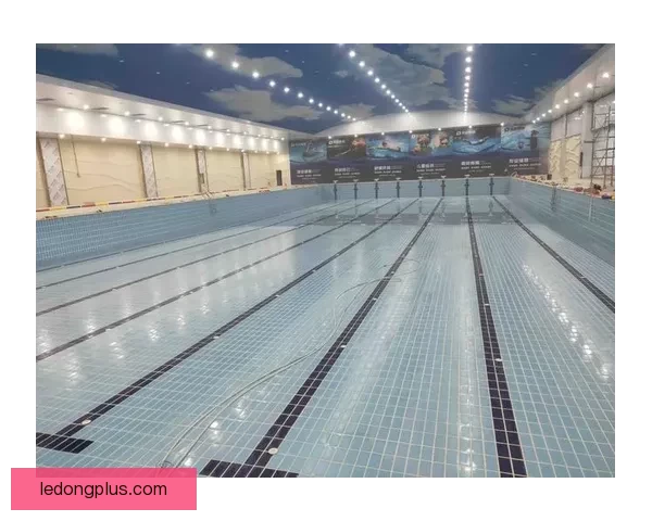 乐动体育的优势与不足分析 用户体验及服务质量全面评测